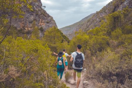 group of people hiking